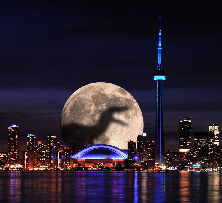 Live_Pain_Free's tweet photo. Let’s do this!!
Let’s go Raptors!!!
#raptors #wethenorth #torontorocks https://t.co/hmecQvPqPp