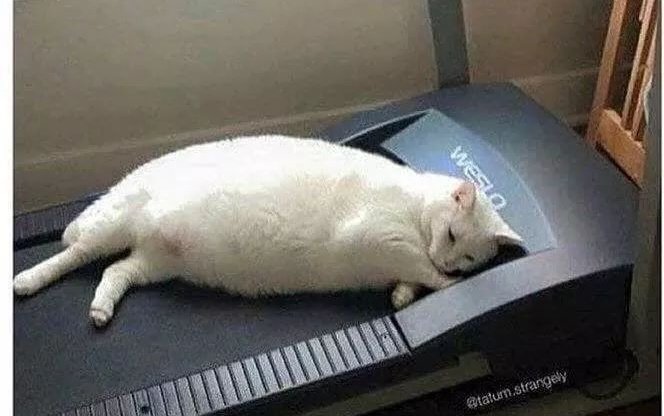 teachergoals's tweet photo. Me: I'm going to get so much done this summer!

Also me:   
                                  #teacherlife https://t.co/GaLYh4OaRJ