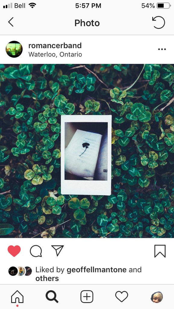 romancer tweet media