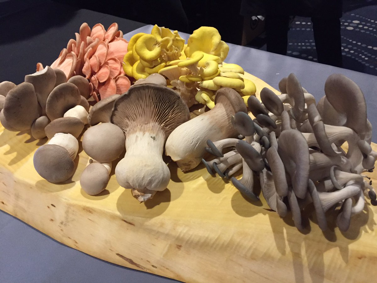 Indulgence Edmonton tweet media