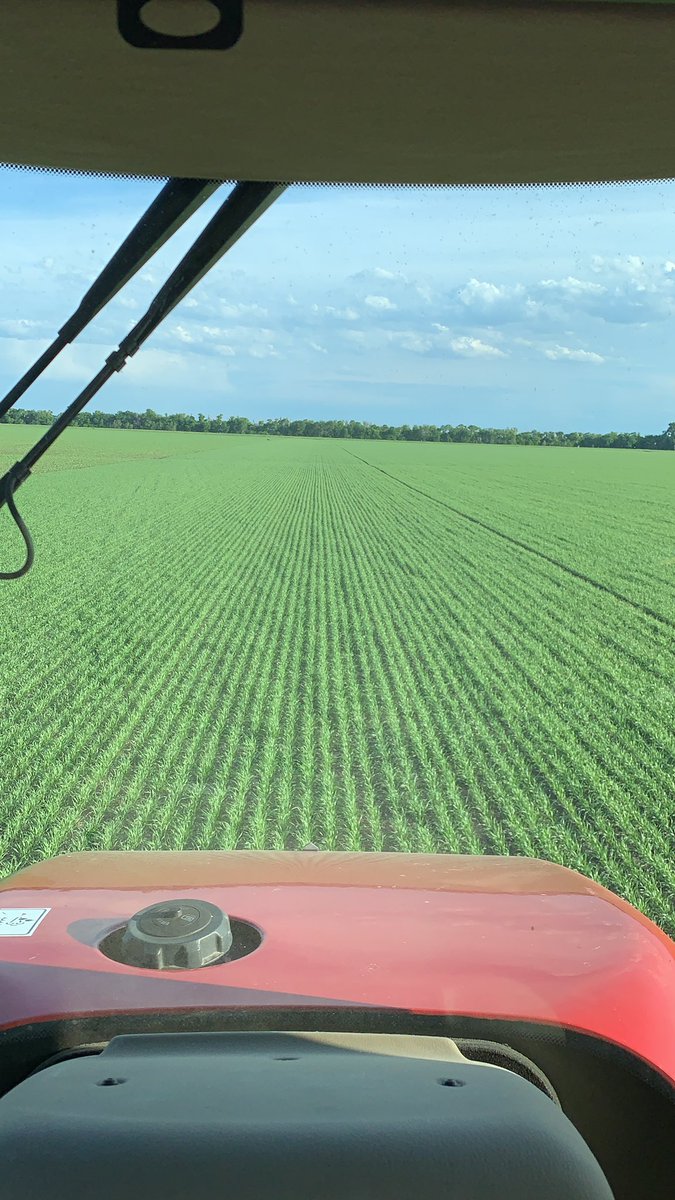 #spray19 some <a href="/CROPLANseed/">CROPLAN_North</a> 3888 lookin real nice so far
