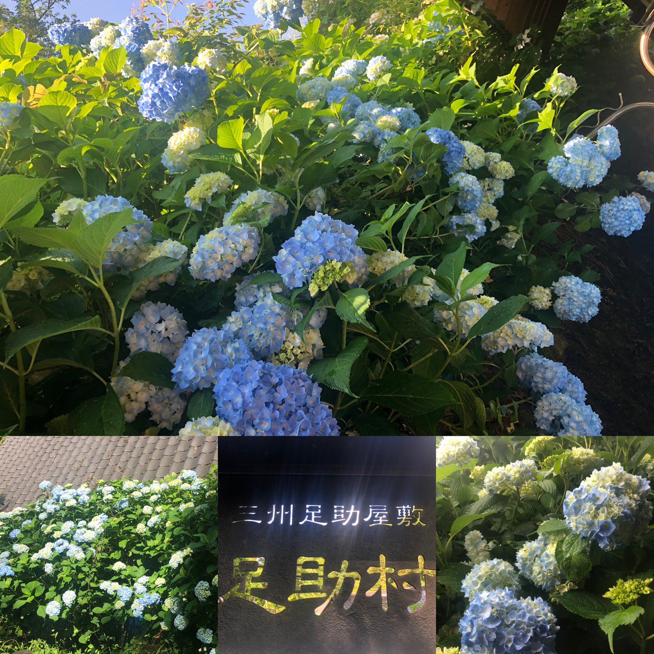 バーベキュー場 Twitter Search Twitter