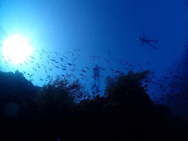 tkhskh's tweet photo. Panglao training day 5
トレーニングはレスト。
友人家族に誘われてバリカサグの海で遊びました。
.
#balicasag #skindiving
#freedivingtraining #freediving #diving #Panglao #philippines #freedivepanglao #divetrip #sea #ocean #underwater #underwaterphotograph #may https://t.co/C4antJX1JB