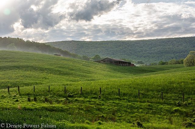 MissDudykins's tweet photo. Late afternoon in Appalachia. #pin #wondergrams #lostriver #hardycounty #farmsofinstagram #barnsofinstagram #springinwestvirginia #totheplaceibelong #countryroads #almostheaven #1000gifts #simplepleasures #simplejoys https://t.co/O6VUE8A9R6 https://t.co/KxaAX3N8os