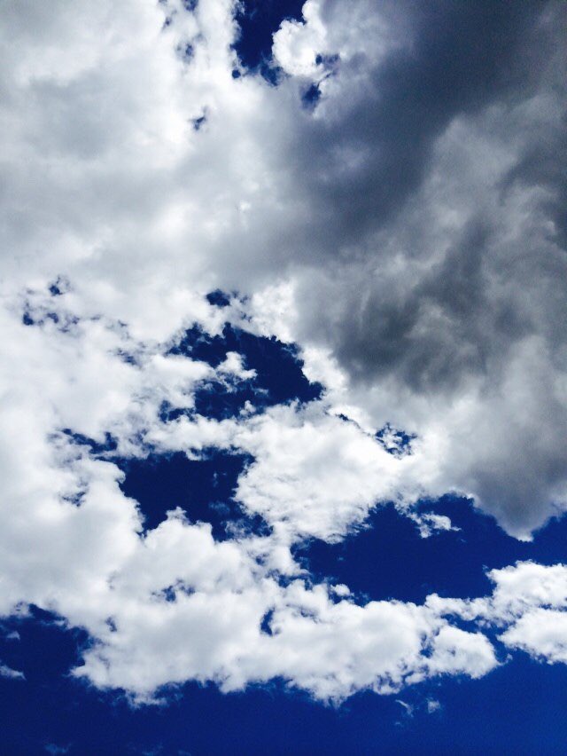 Bluegluebot's tweet photo. はじめまして神様 よろしくたのむよどうか
どこまでも行ける旅は始まった
想像を超えるような奇跡がそこにあるなら
間違えたこともあったけれども これから僕ら生まれ変わる

エヴァーグリーン/Blueglue https://t.co/Ar5XlCEDSQ