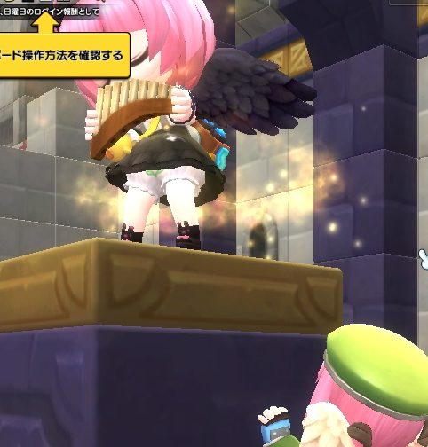 Maple2Pantu's tweet photo. よく覗いてみると葉っぱマークがある！

#パンツの見えるゲーム
#メイプル2 https://t.co/ZtInB69oNn