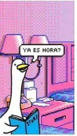 Dani9b4's tweet photo. @OrdureBizarre0 https://t.co/6T2zg0P1k5