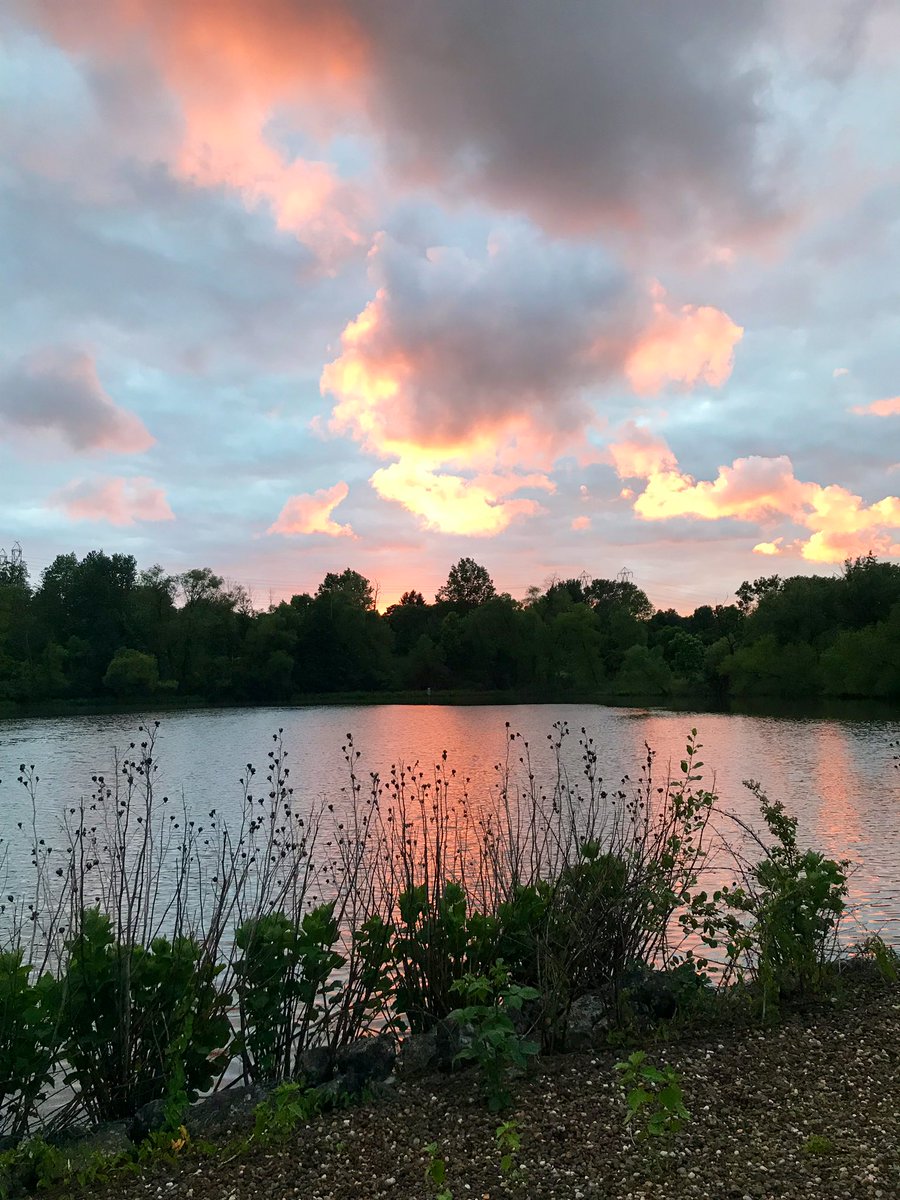 MerwinsMgr_ktk's tweet photo. It might not be Lake Erie but it’s still a pretty sunset in the @clevemetroparks tonight #LakeIsaac #sunset #CLE #calmafterthestorm #cottoncandyclouds #beautiful #bigcreekreservation #laketolaketrail #theburbs #sunsetthrowdown2019 https://t.co/PRZr1gODcK