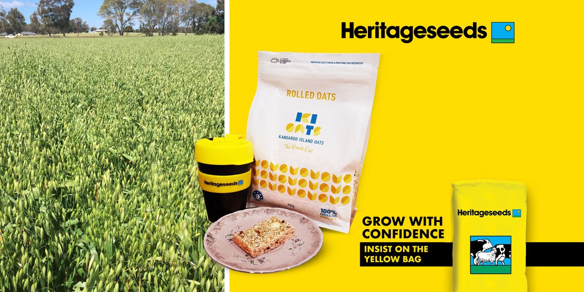 Barenbrug Australia tweet media