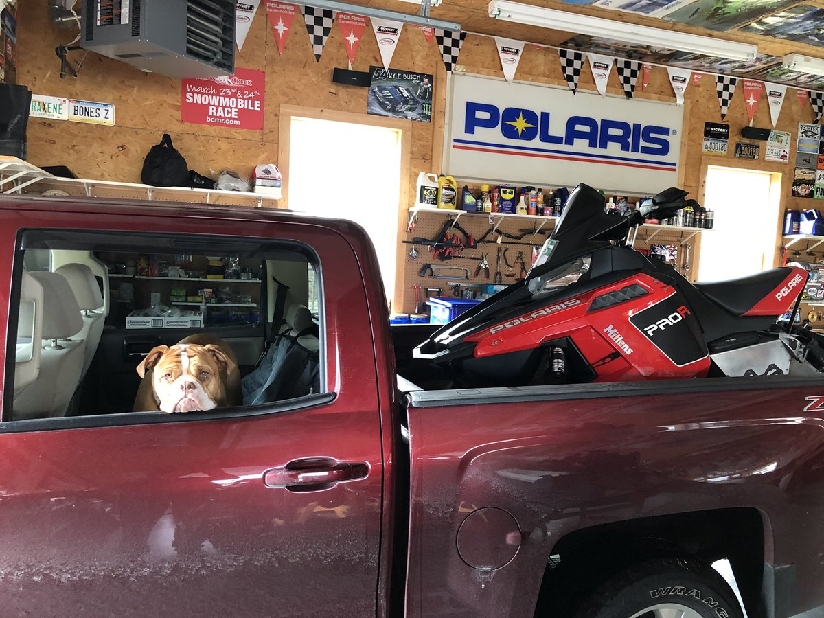 Polarisbum's tweet photo. This guy wants to ride! @PolarisORV #RefreshYourRide https://t.co/hEWm8Uguh9