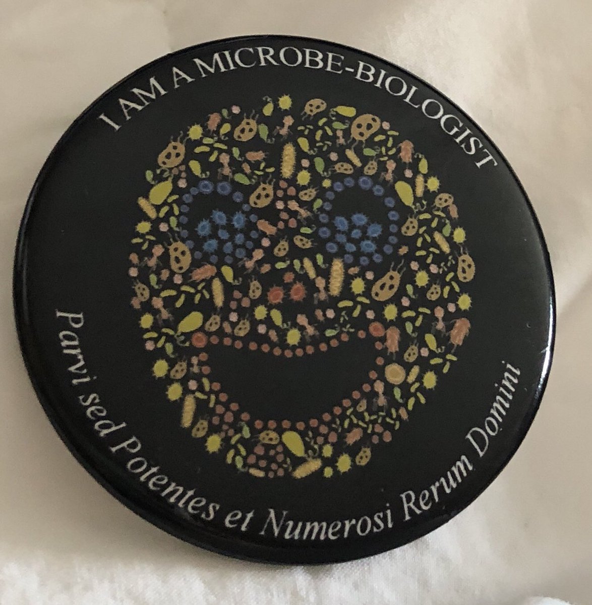 AprilGislason's tweet photo. Learned about some great teaching strategies @CSM2019 #CSMFOME! Many thanks to the organizers, @markowenmartin for the awesome talk & swag and @joshdneufeld for his dramatic reading of ‘The Value of Believing in Yourself: The Story of Louis Pasteur’. https://t.co/MHUA9qKbTE