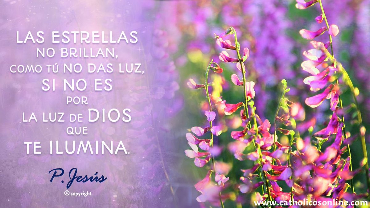 VirgoMariae's tweet image. RT VirgoVeneranda: PARA TU SANTIDAD.
Te interesa si quieres ser feliz.