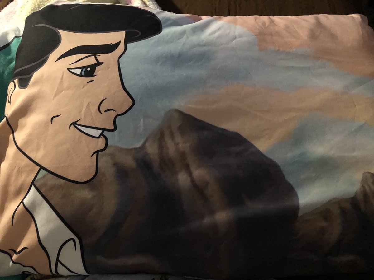 prince eric pillowcase