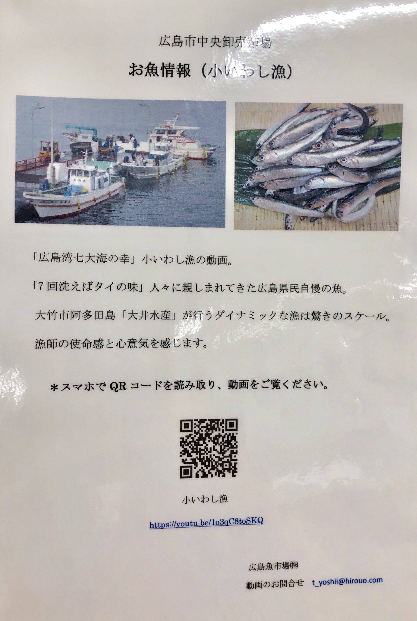 Rccラジオカー 公式 広島市西区草津港 広島魚市場 6 10からイワシ漁が解禁になり午前3 5時ごろが特に賑わっているそうです スーパーに並ぶ広島県産の小イワシは今の時期はどれも新鮮だそうなので 魚市場 右近さんオススメの刺身 生姜醤油 ポン酢