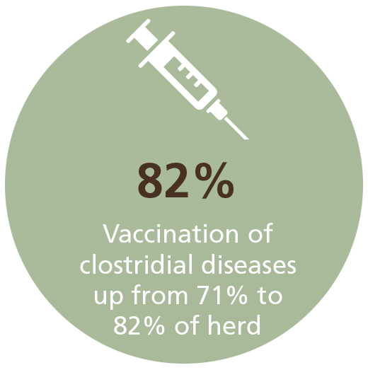 BeefFramework's tweet photo. #BeefUpdate highlight: An increase in the national herd’s vaccination rate supports is the Framework priority of maintaining healthy livestock. See more at https://t.co/QEJDQbDAhT
@RSPCA @AHA_au @DeptAgNews @meatlivestock https://t.co/sQcYmBEZgz