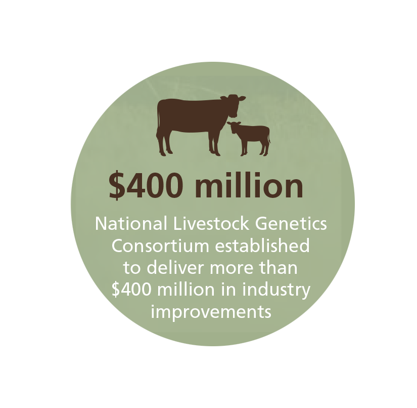 BeefFramework's tweet photo. #BeefUpdate highlight: The National Livestock Genetics Consortium could deliver more than $400m in industry improvements, which supports our Framework’s economic resilience theme. See more at https://t.co/QEJDQblZql
@meatlivestock @redmeatcouncil @UniNewEngland @nswdpi https://t.co/qoJYLTUDCH