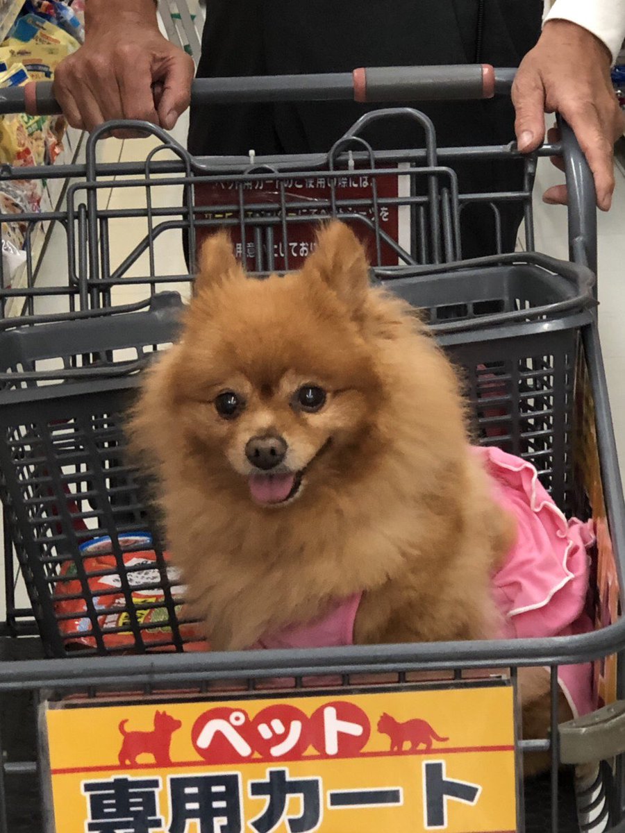 アヤハディオ アヤハディオ