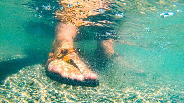LUNAsandals's tweet photo. Did you know that LUNAs are aquatic creatures? Run, rinse, repeat. 📷 @nat_in_the_wild #LUNAsandals #runfree #beachvibes #california #oceanlovers #sunshineaddicted #outsideisfree #adventureculture #liveauthentic #roamtheplanet #travelstoke #borntorun … https://t.co/BxvoQjbQ7C https://t.co/orTWaWndU1