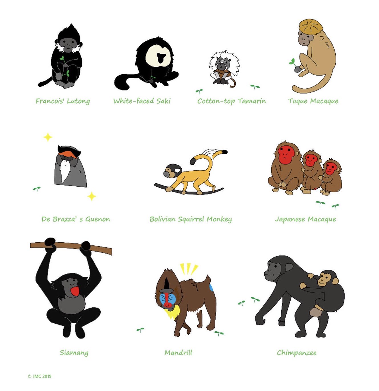 モンキーを中古で購入する方必見 モンキーの基礎知識まとめです