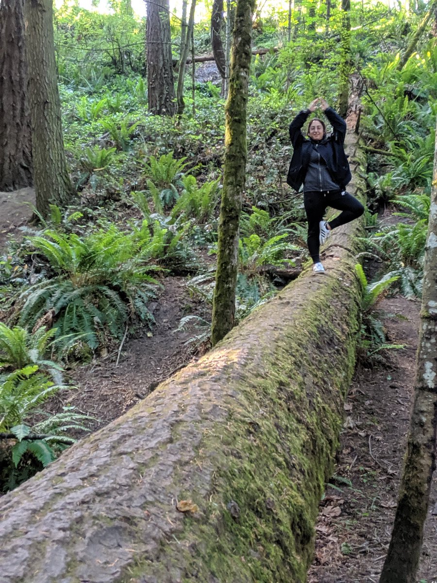 j0_0n's tweet photo. @Caladoscope in the Mystic Vale! #DHSI19 https://t.co/J2Or8cIyy6