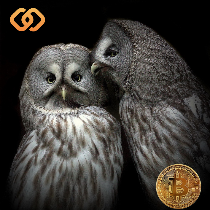 USDX Wallet (@usdxwallet) on Twitter photo Become a USDX Wallet Agent and get 10% of ALL of your friends' purchases paid in Bitcoin, and even more! Grow <a href="/USDXwallet/">USDX Wallet</a> network by inviting new users to the app and profit. See details at link.usdx.cash/e/agents_tw1
#USDXwallet #Bitcoin #MoneyTransfer #NoFees #FinTech #blockchain Become a USDX Wallet Agent and get 10% of ALL of your friends' purchases paid in Bitcoin, and even more! Grow <a href="/USDXwallet/">USDX Wallet</a> network by inviting new users to the app and profit. See details at link.usdx.cash/e/agents_tw1
#USDXwallet #Bitcoin #MoneyTransfer #NoFees #FinTech #blockchain