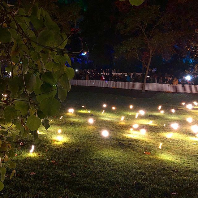 kusashoes's tweet photo. #vivid #vividsydney #fireflies #lights #moving #mesmerising #weekend #grass #green #cool https://t.co/wDGLWRb66d #kusashoes_, #flipflops, #summer, #fun, #gift, #beach,@kusashoes_#nature #sky #sun #summer #beach #beautiful #pretty #blue #flowers #tree #beauty #light #photoofthed… https://t.co/yMM4YBacm0