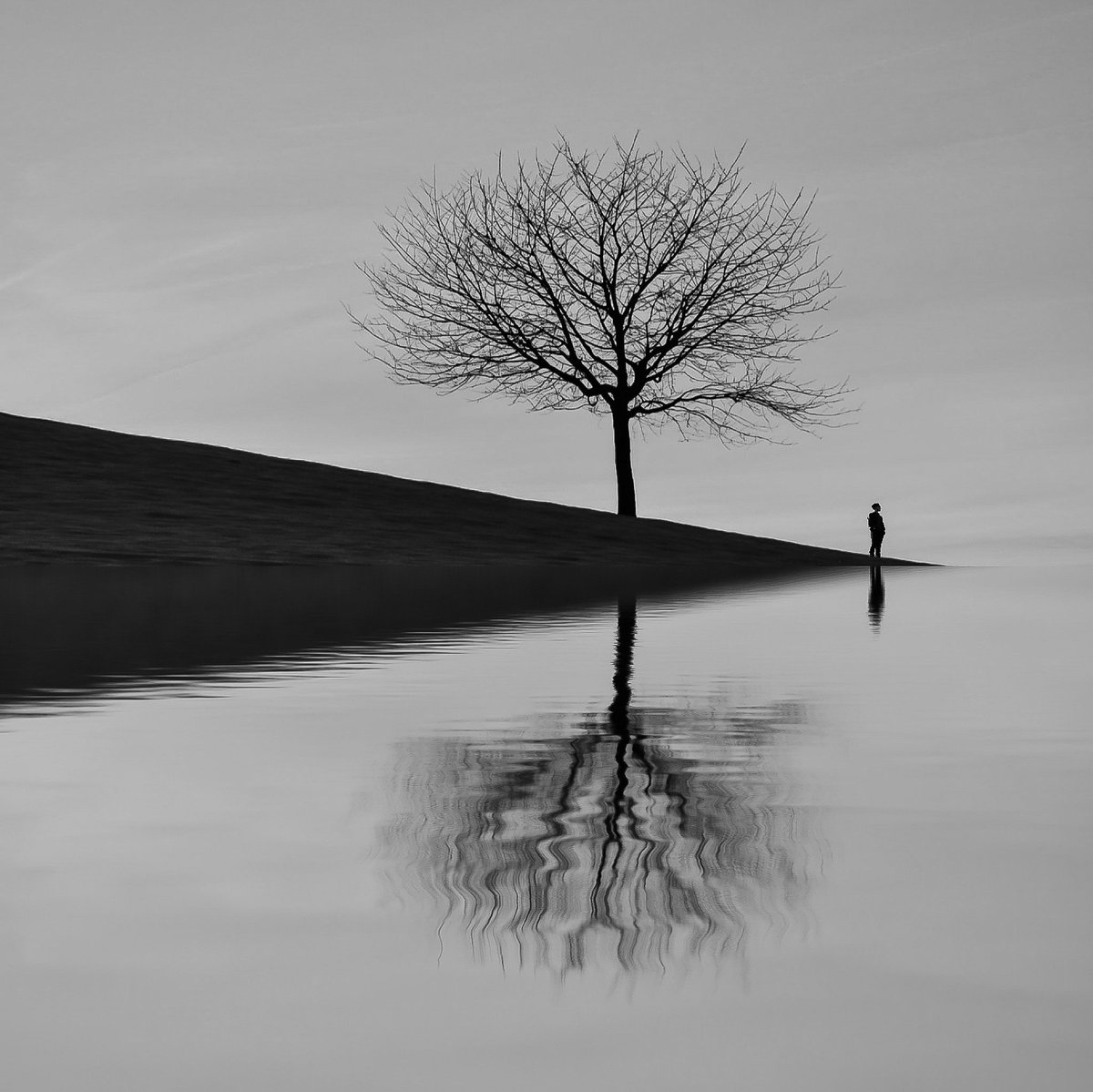 " Mesafeler diyorum ... Olmamalılar ." 

" Çünkü gel , çünkü gelmen gerek , çünkü gelmezsen gidecek herşey .." 

" Herkes fazlasıyla sevmiş , ben eksiklikleriyle de sevdim oysa .. " 

#ÖzdemirAsaf