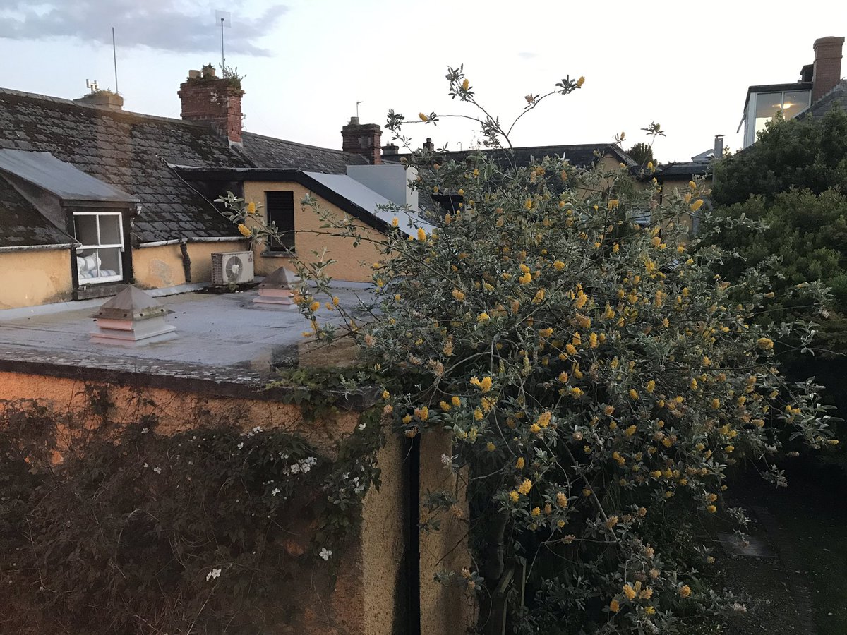 dietrichklein's tweet image. Met up with my Enterprise Architect peers @YanivGiat and @BrunoMars last night in iconic Ireland 🇮🇪 joining the rest if the pack today to enhance our skills and consulting capabilities as a team. Clearly #VisionMatching is on the agenda embeded in the rich ideas all team members.