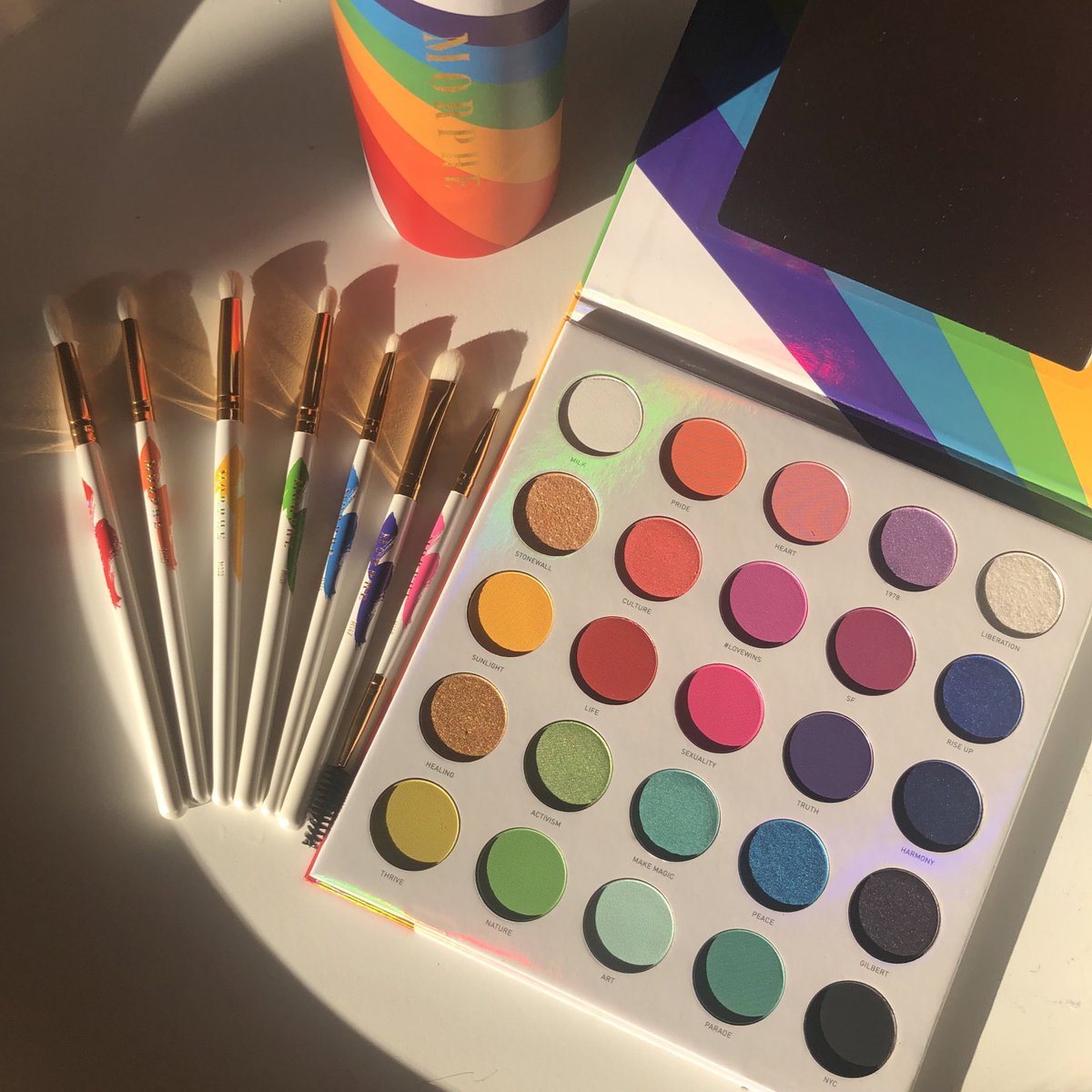 dropdeadlewis's tweet photo. Look what arrived today! The @MorpheBrushes 25L and #makelifecolourful brush set! I’m in love 🌈 https://t.co/dbftmR52nM