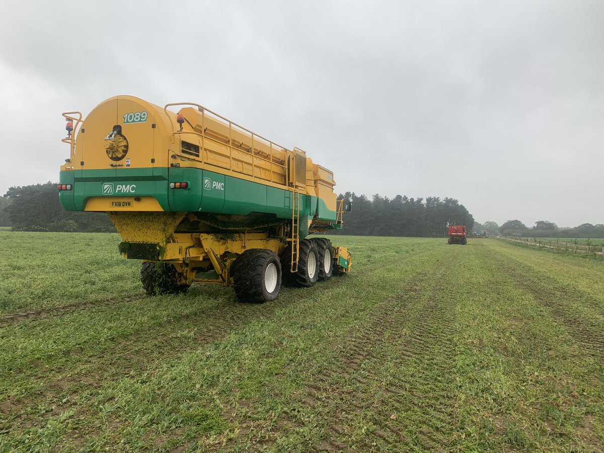 PEA HARVEST 2019 has started for AGL with @Tollycobbald <a href="/jimma_brown/">James Brown</a>. So far 45mm of rain in last 24hrs and still raining yet we march on with @PMCHarvesters