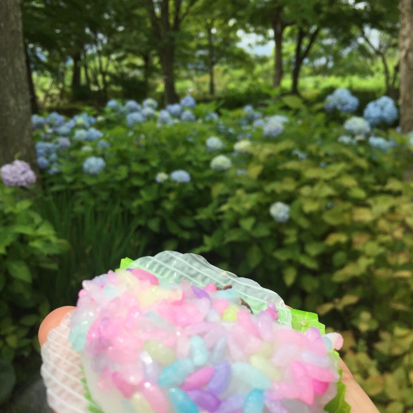 芦刈園 Twitter Search Twitter