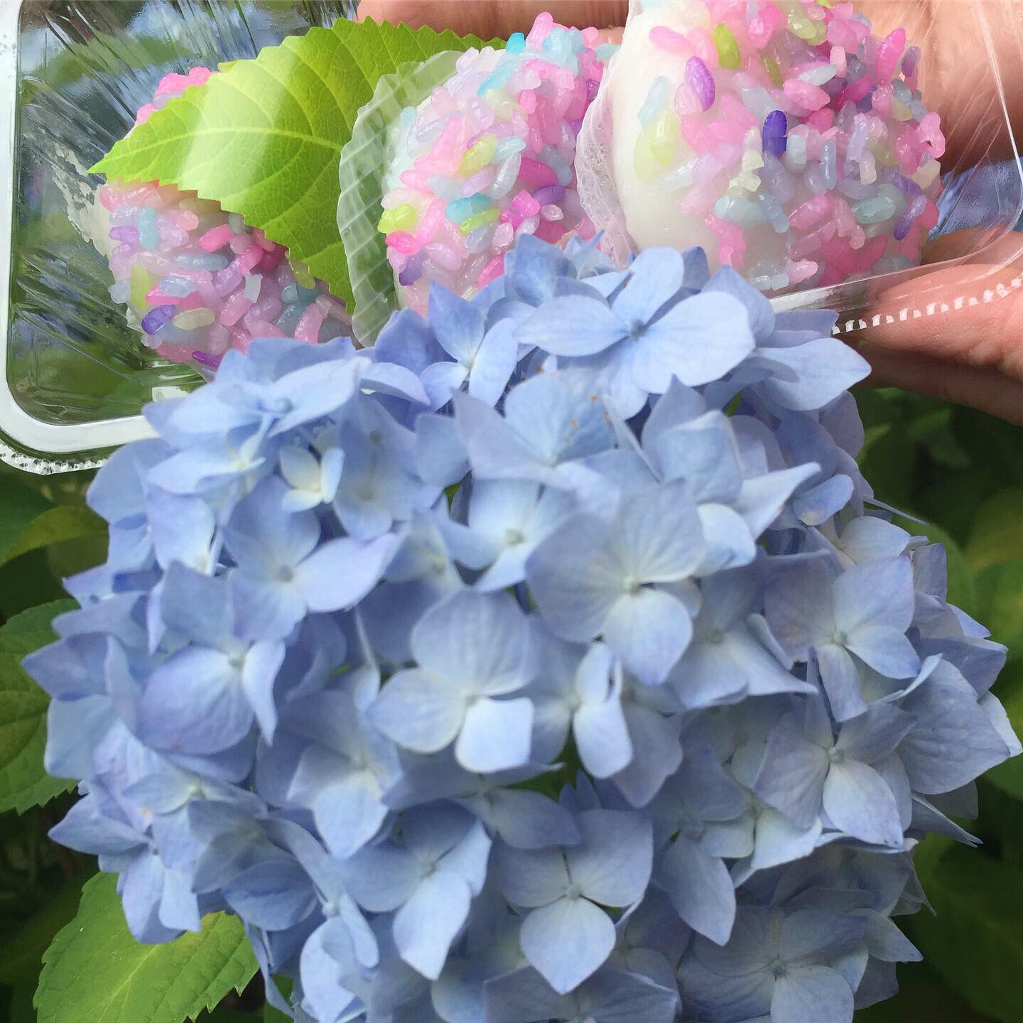 芦刈園 Twitter Search Twitter