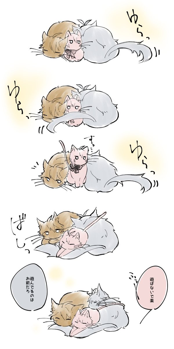 とりにゃー🐾 