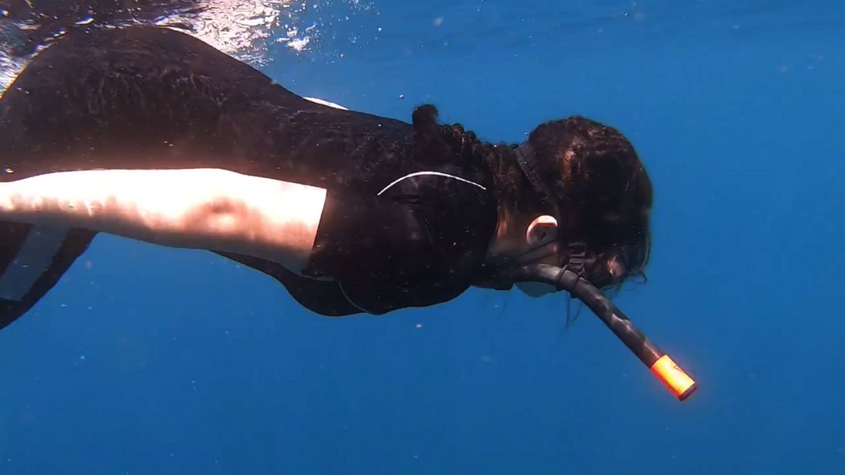 one with the ocean 🧜🏻‍♀️

#mermaidfeels #linetraining #apneatraining #apnea