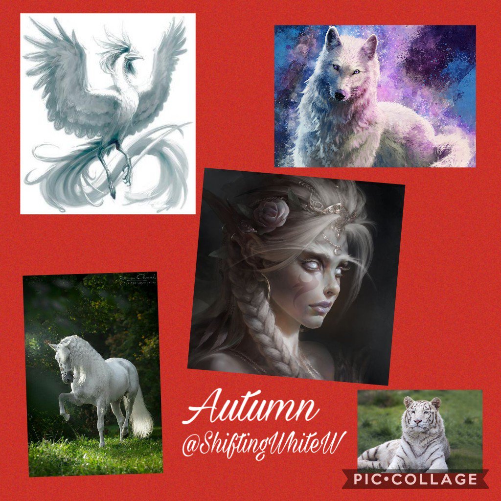 BlindedAutumn's tweet photo. #RT please.
Autumn
A White witch shifter.
Suffering with loss of memory.
#21+ RP
#Multiverse
#DARP
#ShipWithChem
10 Years of RP exp https://t.co/lHvHgSL8ml