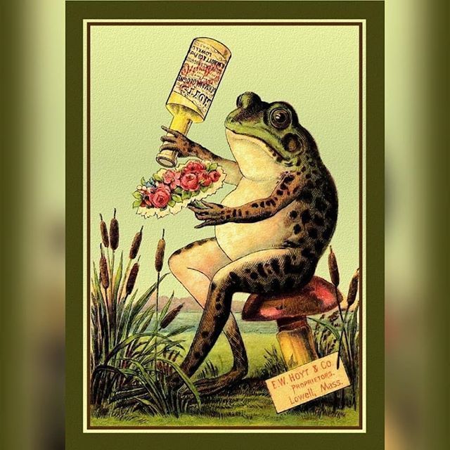 weird_christmas's tweet image. Because this is what I do at 2 am when I can’t sleep. #vintagefrog — view on Instagram bit.ly/2RdqDlv bit.ly/2F1qCMw