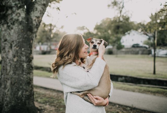 Women Are Behind Some Of The Major Trends In The Pet Care Industry - buff.ly/2WCWge7
