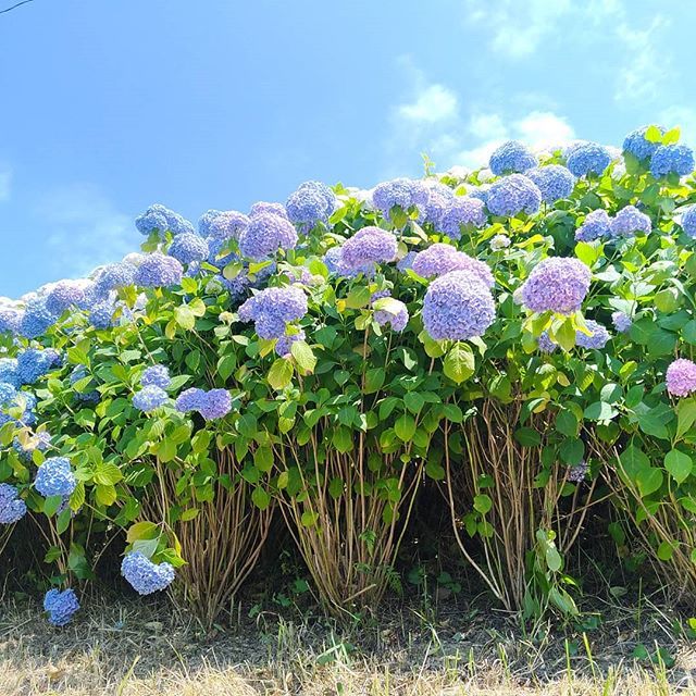 高塔山公園