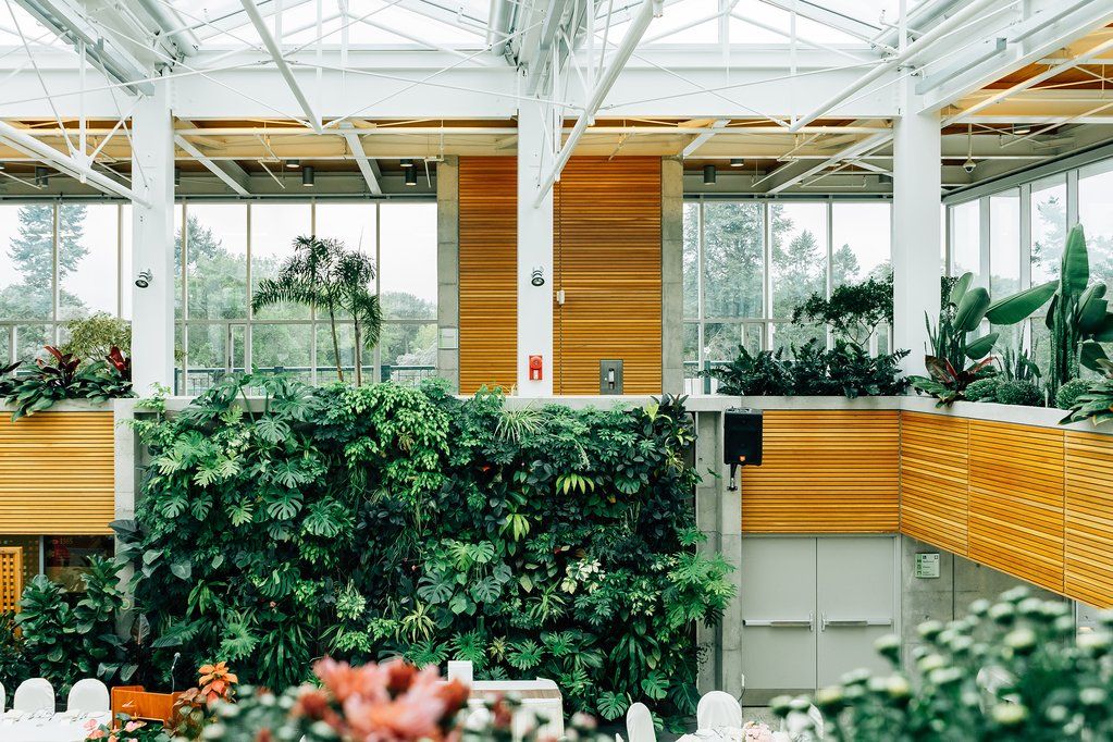 Into The Bath (@bathinto) on Twitter photo Why Plants Make You Happy <a href="/BathInto/">Into The Bath</a> buff.ly/2WpBSYI #PLANTS #plantstrong #plantsofinstagram #plantstagram #plantsmakepeoplehappy #plantslover #plantsarefriends #PlantsforBirds #plantstyling #plantsmakemehappy #plantshop #plantsvszombies #plantsinfocus #plantshelfie Why Plants Make You Happy <a href="/BathInto/">Into The Bath</a> buff.ly/2WpBSYI #PLANTS #plantstrong #plantsofinstagram #plantstagram #plantsmakepeoplehappy #plantslover #plantsarefriends #PlantsforBirds #plantstyling #plantsmakemehappy #plantshop #plantsvszombies #plantsinfocus #plantshelfie