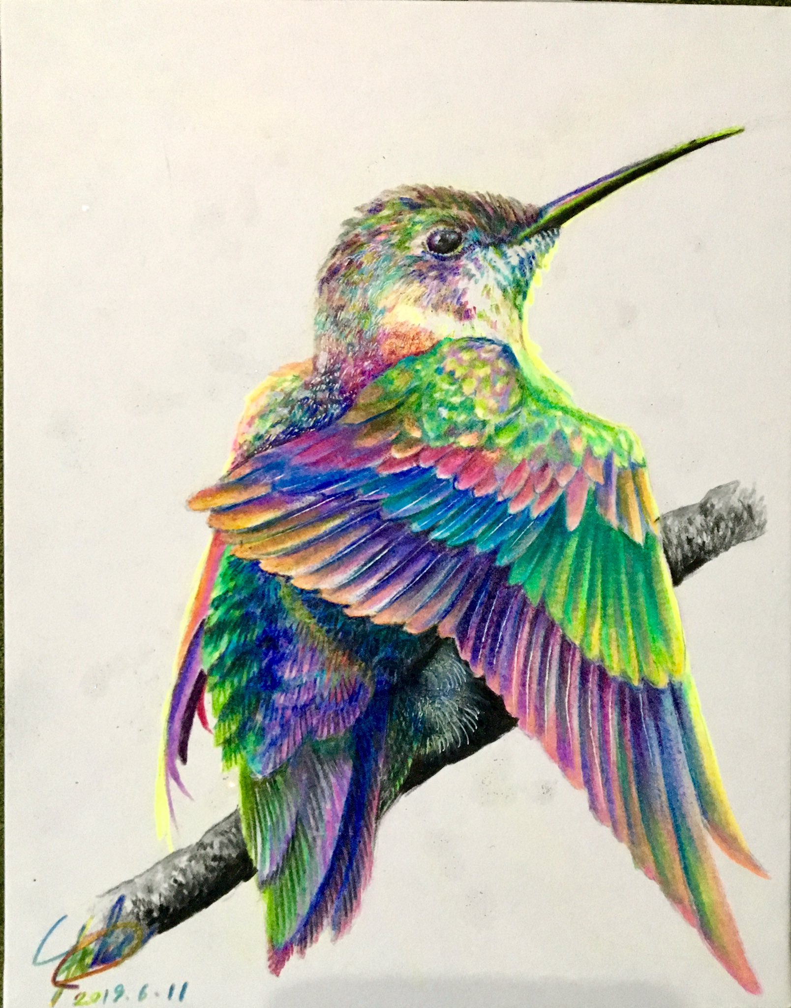希少になる ハチドリと花のアクリル画 Hummingbird アート