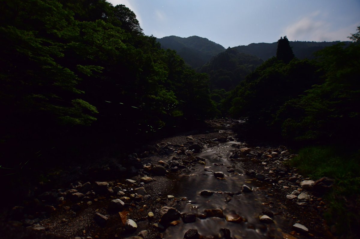 Hashtag 九州の絶景 Na Twitteru