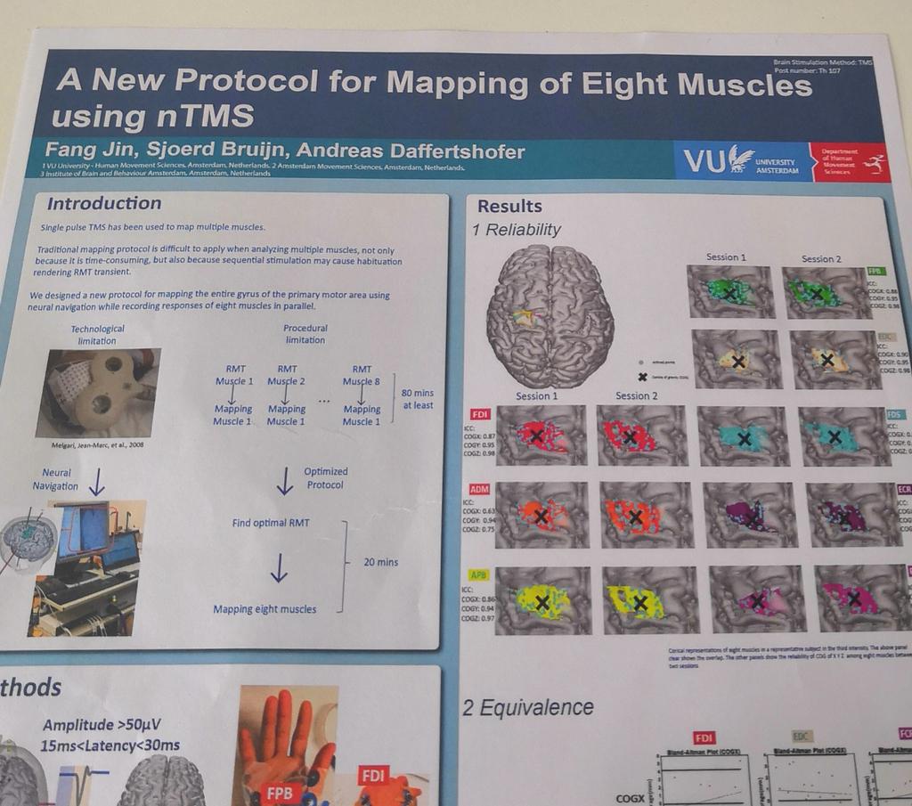 JinFang2's tweet photo. I will be presenting this poster on Thursday about TMS motor mapping （TH107）at @OHBM #OHBM2019, come and have a look at !" https://t.co/9Lkylej6nx
