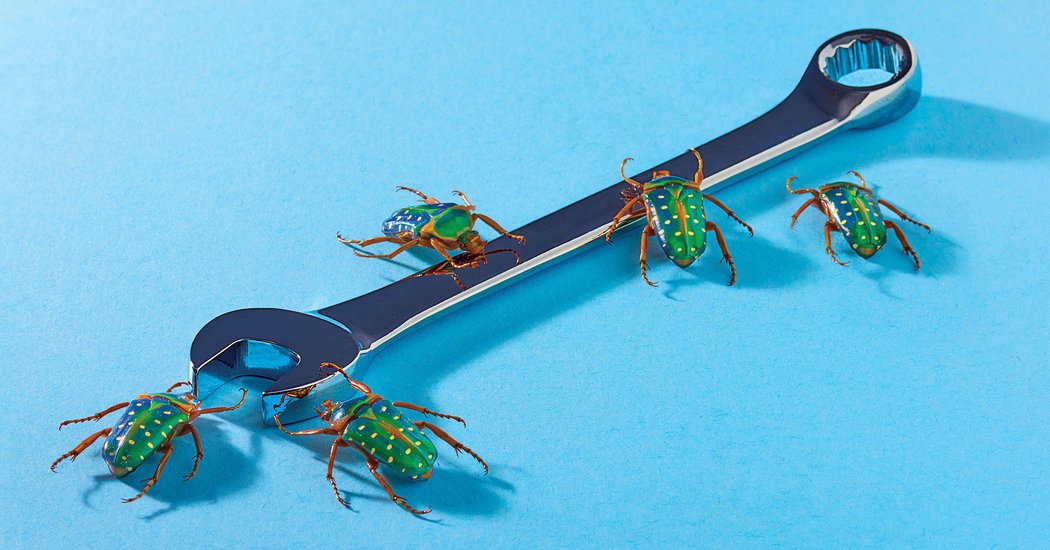 NewsTekToday's tweet image. Letter of Recommendation: Bug Fixes dlvr.it/R6PHt4 #OpenSourceSoftware #ComputersandtheInternet #GitHubInc