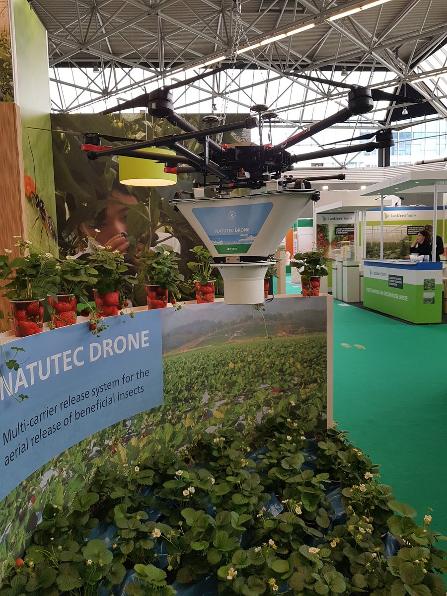 Nelson Santos tweet media