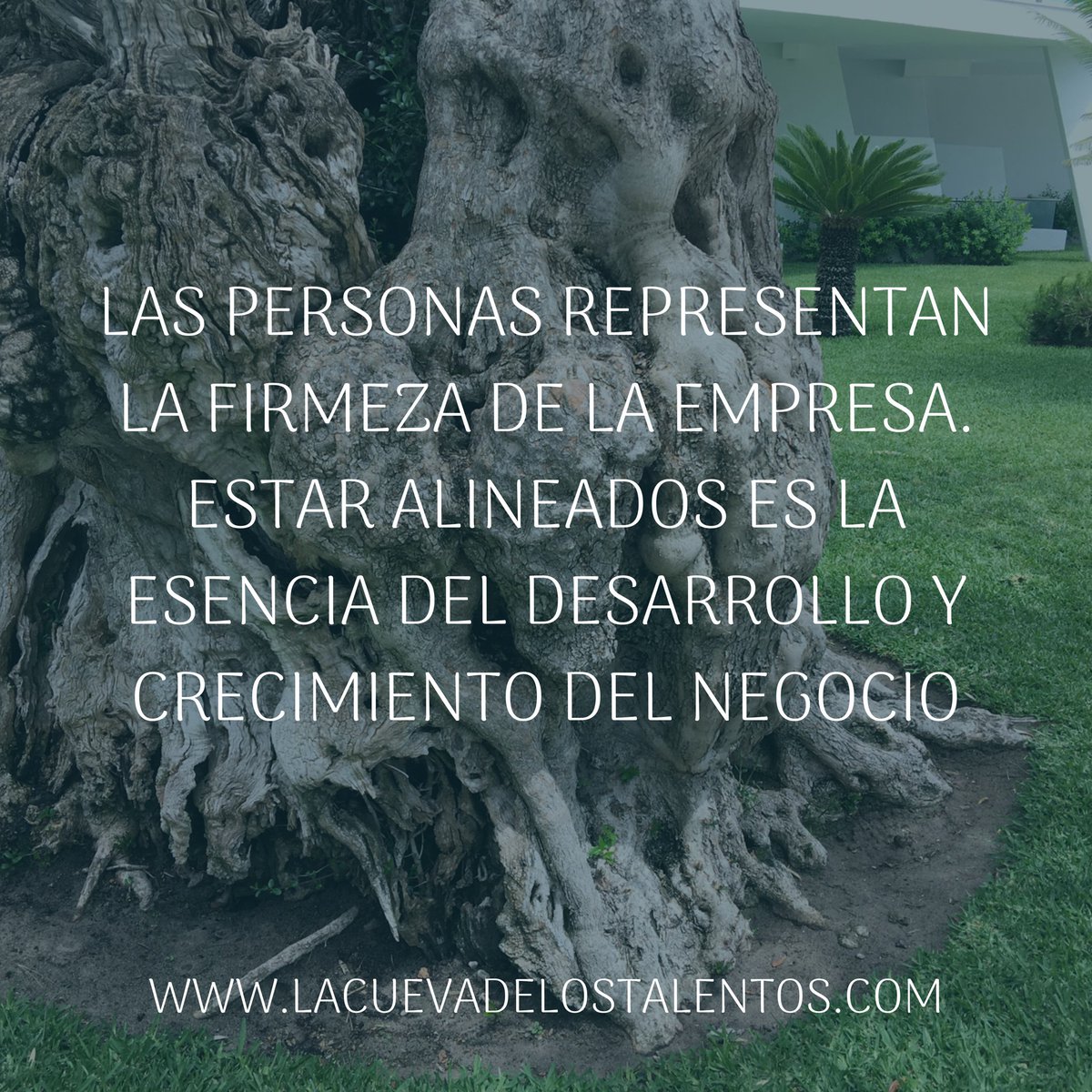 cuevadeltalento's tweet photo. Simple y complejo a la vez. Elegir con quién navegar pasa por asegurarse de que todos trabajan para llegar al mismo puerto. Hoy día las presiones alteran muchas brújulas, asegúrate de que todas apuntan al Norte 🧭 #coaching #MaderadeTalento #DISC #HighPotential #SuEstadodeAnimo https://t.co/xbmgshBcKs