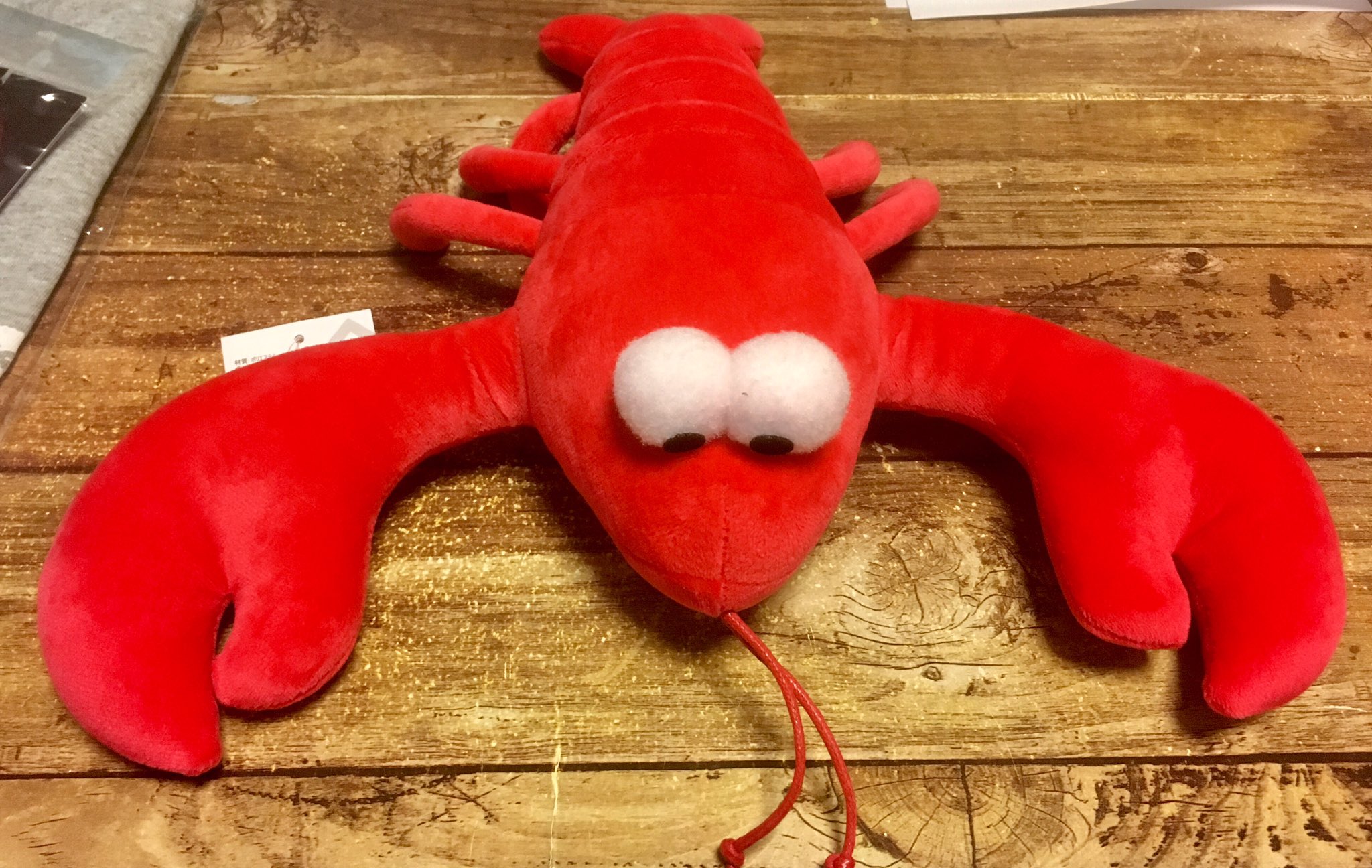 染マル さいとう二三 Pa Twitter ダイソーでロブスターのぬいぐるみ買ってしまった 300円だけど 可愛い 可愛い