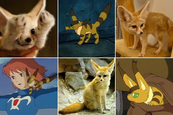 ジブリのせかい 非公式ファンサイト على تويتر キツネリスとよく似たフェネックという テトに似た動物が実際にいます イヌ科で 北アフリカのモロッコなどに生息しているのだとか 実際にモデルにしたかどうかは わかりません 風の谷のナウシカ T Co ジブリのせかい 非公式ファンサイト على تويتر キツネリスとよく似たフェネックという テトに似た動物が実際にいます イヌ科で 北アフリカのモロッコなどに生息しているのだとか 実際にモデルにしたかどうかは わかりません 風の谷のナウシカ T Co