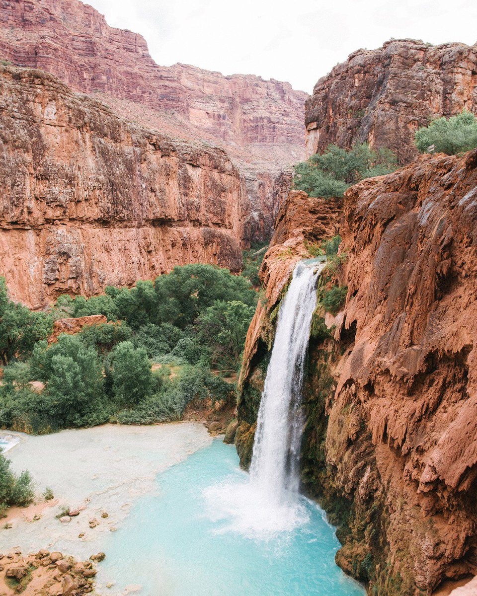 FreshTabPics's tweet photo. 💦 Located 10 miles deep into the Grand Canyon, the stunning Havasu Falls are only accessible by hiking, horseback, or helicopter. How are you going to get there?
📸 Credit: Cara Fuller #FreshTabPics #HavasuFalls #GrandCanyon #ExploreUS #GetOutside #HavasupaiFalls https://t.co/SfTPAbzH7w