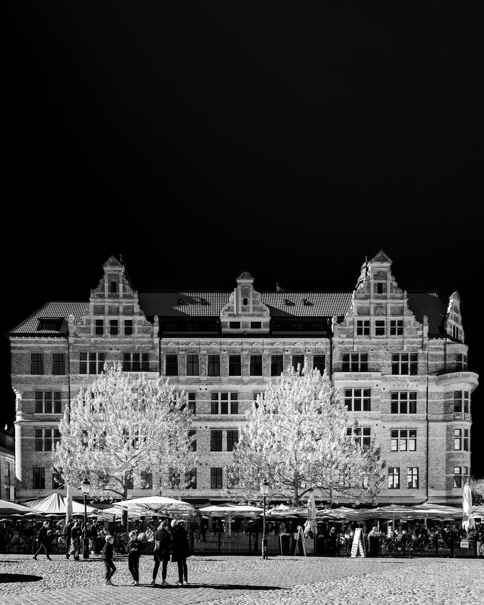 Marcus_KS13's tweet image. The two trees.

#photography #trees #malmoe #blackandwhitephotography #architecture