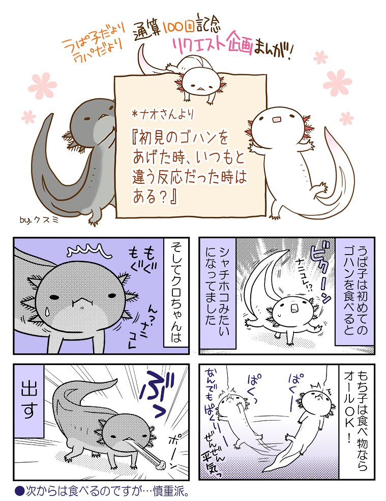 ウパだより番外編05 通算100話記念企画4コマ その5 所見のゴハンをあげた クスミ 楠見らんま 百合とかウーパールーパーとか の漫画 ウパだより番外編05 通算100話記念企画4コマ その5 所見のゴハンをあげた クスミ 楠見らんま 百合とかウーパールーパーとか の漫画